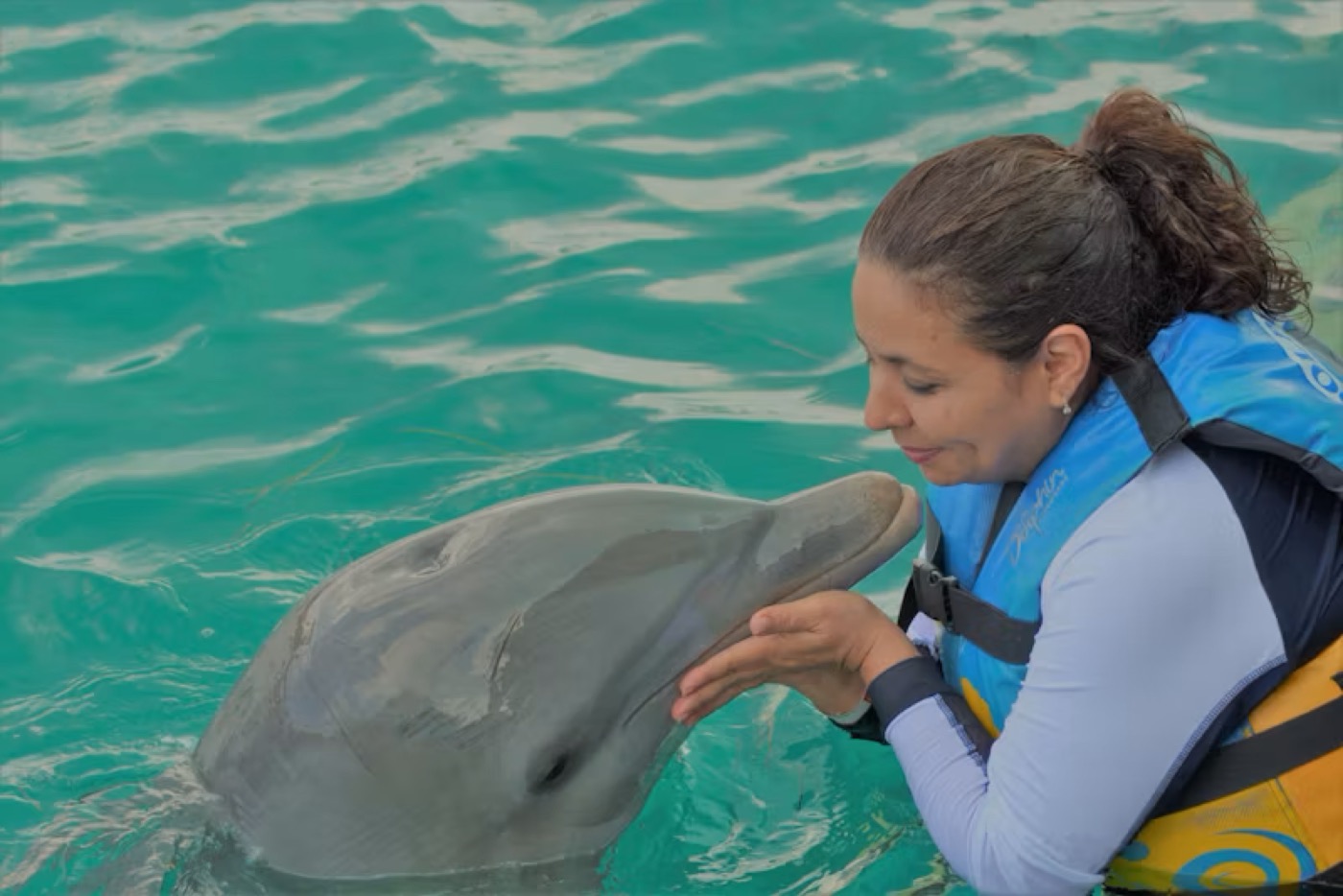Femme touchant un dauphin — Dolphin Experience